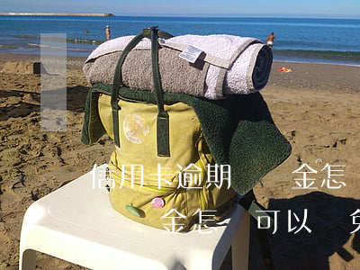 信用卡逾期滯納金怎樣可以減免(信用卡逾期滯納金怎樣可以減免呢)