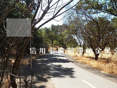 信用卡逾期滯納金是全額嗎(逾期有滯納金嗎)