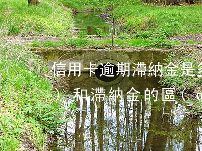 信用卡逾期滯納金是多少錢(逾期費(fèi)和滯納金的區(qū)別)