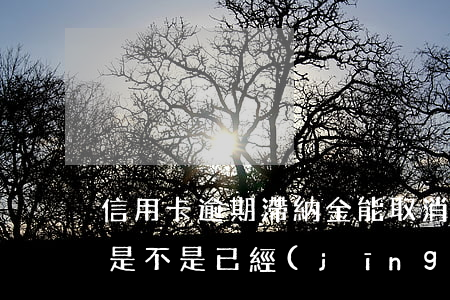 信用卡逾期滯納金能取消嗎(國(guó)家是不是已經(jīng)取消信用卡滯納金了)