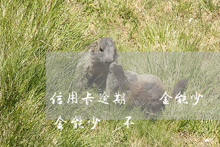 信用卡逾期滯納金能少還不(信用卡逾期滯納金能少還不)