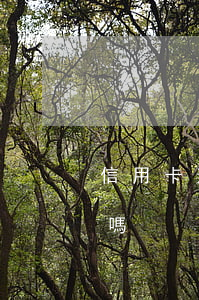 信用卡逾期滯納金要還嗎(欠錢逾期有滯納金嗎)
