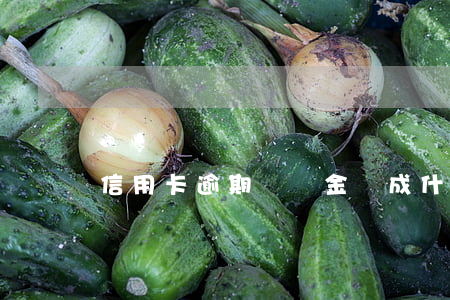 信用卡逾期滯納金變成(什么叫信用卡滯納金)