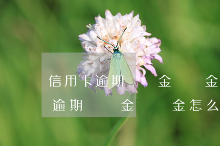 信用卡逾期滯納金違約金怎么處理-信用卡逾期滯納金違約金怎么處理的