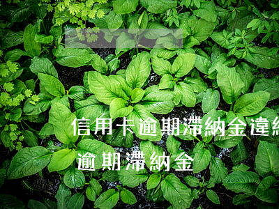 信用卡逾期滯納金違約金怎么處罰(交通處罰逾期滯納金)