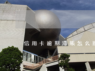 信用卡 逾期 滯賬怎么辦（信用卡 逾期 滯賬）