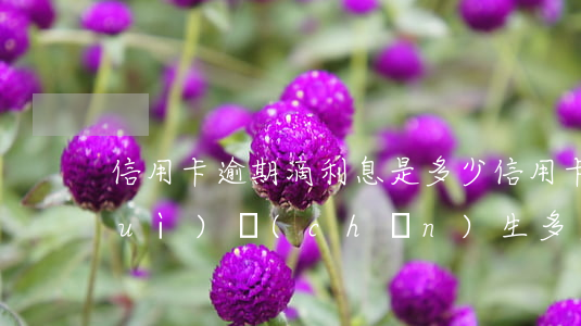 信用卡逾期滴利息是多少(信用卡逾期會(huì)產(chǎn)生多少利息)