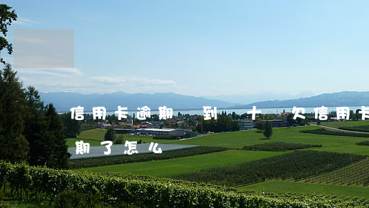 信用卡逾期滾到幾十萬(欠信用卡三十幾萬逾期了怎么辦)