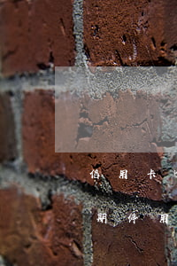 信用卡逾期滾動(dòng)兩年(信用卡逾期停用了利息還滾動(dòng)嗎)