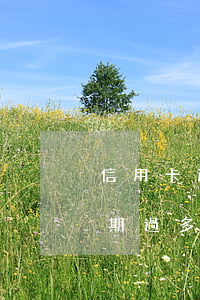 信用卡逾期滾動幾年后(你們的信用卡最長逾期過多久)