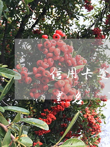 信用卡逾期滿三個(gè)月進(jìn)黑名單了嗎-信用卡逾期滿三個(gè)月進(jìn)黑名單了嗎怎么辦