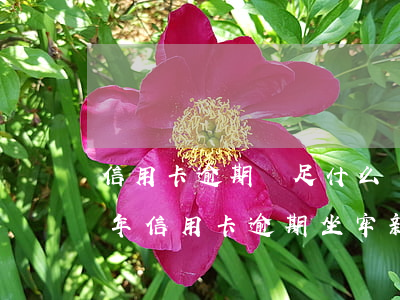 信用卡逾期滿足什么條件才坐牢-2020年信用卡逾期坐牢新規(guī)已定,你可要小心了!