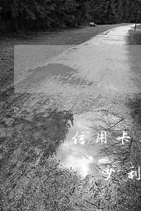 信用卡逾期漲多少利息多少天(信用卡逾期漲多少利息多少天)