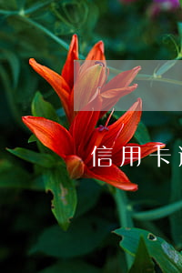 信用卡逾期漲得太離譜(信用卡逾期很久了)
