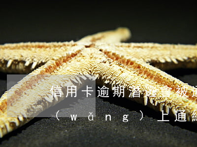 信用卡逾期潛逃會被通緝嗎(欠信用卡會被網(wǎng)上通緝嗎)