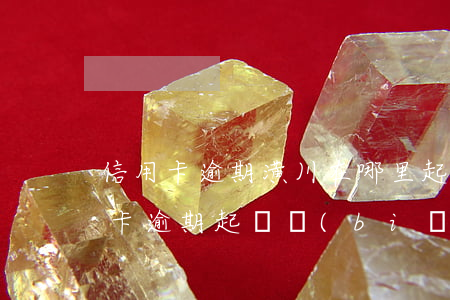 信用卡逾期潢川在哪里起訴(2020年信用卡逾期起訴標(biāo)準(zhǔn))