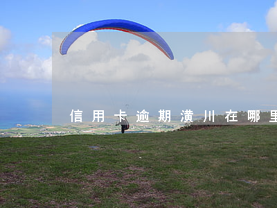 信用卡逾期潢川在哪里辦理