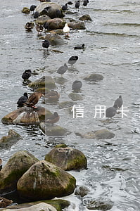 信用卡逾期潢川(欠信用卡逾期不還會坐牢嗎)