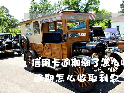 信用卡逾期潮了怎么收費(fèi)(信用卡逾期怎么收取利息)