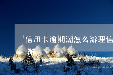 信用卡逾期潮怎么辦理(信用卡逾期了該怎么辦)