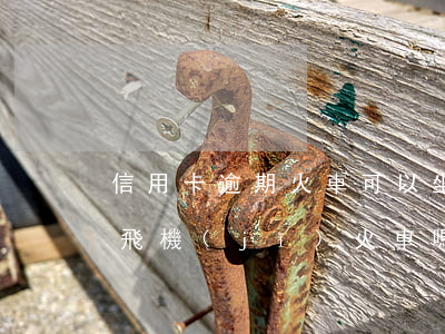 信用卡逾期火車可以坐嗎(信用卡逾期可以坐飛機(jī)火車嗎?)