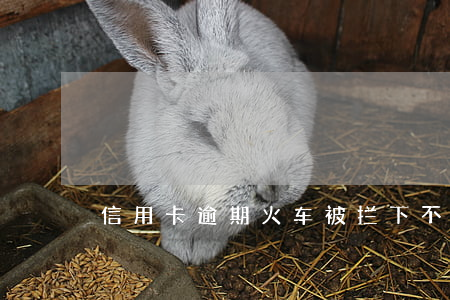 信用卡逾期火车被拦下 不小心信用卡逾期