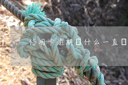 信用卡逾期為什么一直沒有被起訴