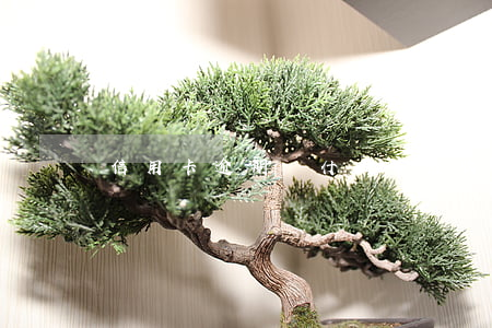信用卡逾期為什么不催收了 欠信用卡被催收