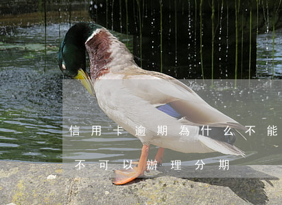 信用卡逾期為什么不能辦分期(為什么信用卡不可以辦理分期)