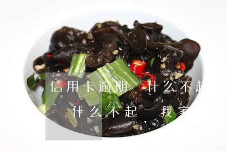 信用卡逾期為什么不起訴我家人 信用卡逾期為什么不起訴我家人呢