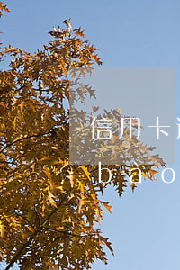 信用卡逾期為什么不起訴直接呆賬(信用報(bào)告顯示呆賬是不是就不用還了)