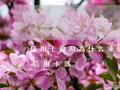 信用卡逾期為什么凍結我儲蓄卡(逾期會凍結信用卡嗎)