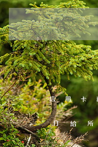信用卡逾期為什么會打到公司-欠信用卡會打給所在的公司嗎