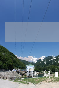 信用卡逾期為什么會打到公司電話-信用卡逾期為什么會打到公司電話呢