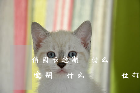 信用卡逾期為什么會給單位打電話-信用卡逾期為什么會給單位打電話呢