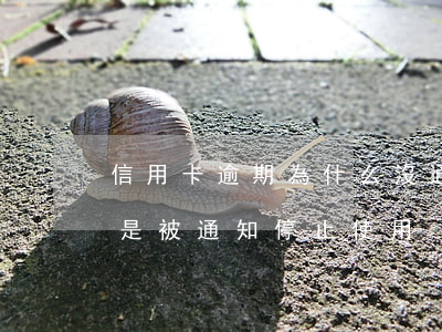 信用卡逾期為什么沒通知(信用卡沒有逾期但是被通知停止使用)