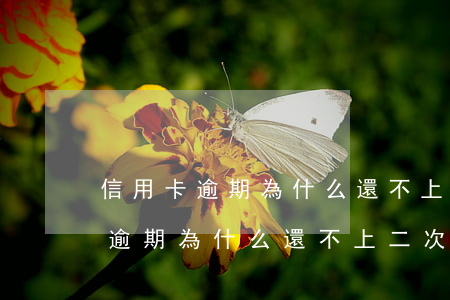 信用卡逾期為什么還不上二次分期-信用卡逾期為什么還不上二次分期的錢