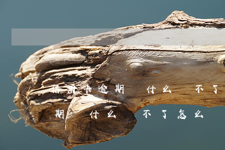 信用卡逾期為什么還不了怎么辦-信用卡逾期為什么還不了怎么辦呢