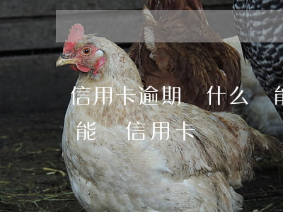 信用卡逾期為什么還能批卡(逾期了為什么還能辦信用卡)