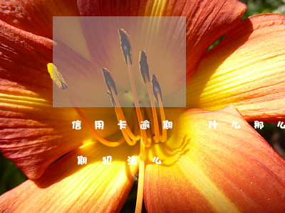 信用卡逾期為什么那么多錢(很多張信用卡逾期犯法么)