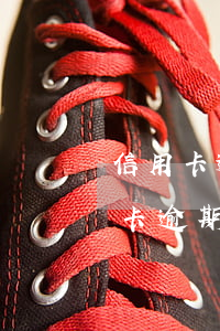 信用卡逾期為什么都不會被起訴(朋友用信用卡逾期不還起訴有用嗎)