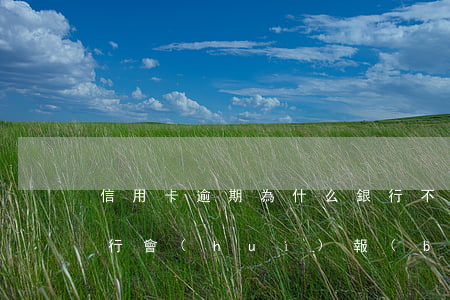 信用卡逾期為什么銀行不打電-欠信用卡銀行會(huì)報(bào)警嗎