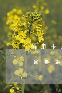 信用卡逾期為什么鎖住我的儲蓄卡-信用卡逾期為什么鎖住我的儲蓄卡呢