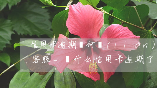 信用卡逾期為何聯(lián)系不上卡片客服-為什么信用卡逾期了沒(méi)人聯(lián)系我