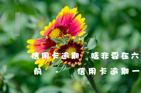 信用卡逾期為啥非要在六點(diǎn)之前還-還信用卡逾期一天沒(méi)事吧