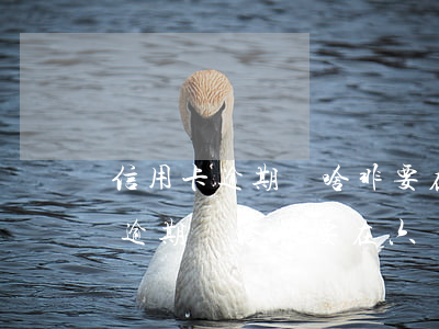 信用卡逾期為啥非要在六點之前還-信用卡逾期為啥非要在六點之前還款