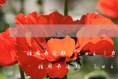 信用卡逾期無(wú)力償被告法院的流程-信用卡逾期無(wú)力償被告法院的流程是什么