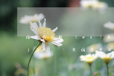 信用卡逾期無(wú)力償還可以坐飛機(jī)嗎-欠信用卡逾期可以坐飛機(jī)嗎