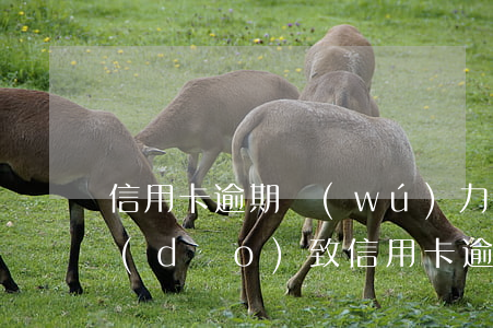 信用卡逾期無(wú)力償還坐牢(因服刑導(dǎo)致信用卡逾期出來(lái)無(wú)法還)