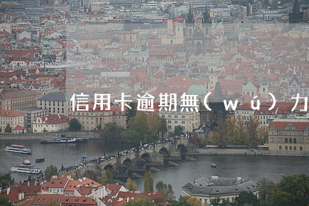 信用卡逾期無(wú)力償還如何定性